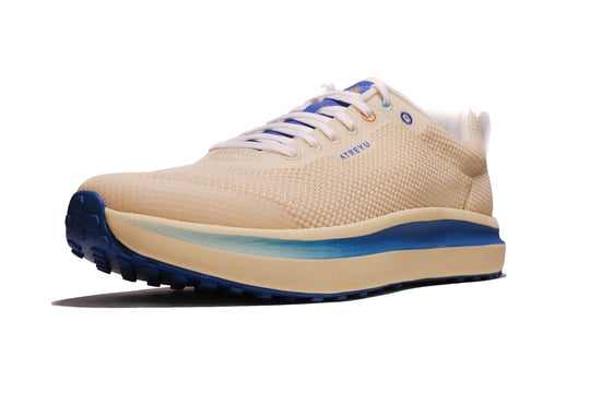 Daily Trainer Running Shoes