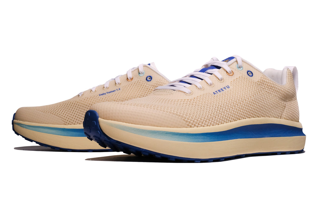 Daily Trainer Running Shoes